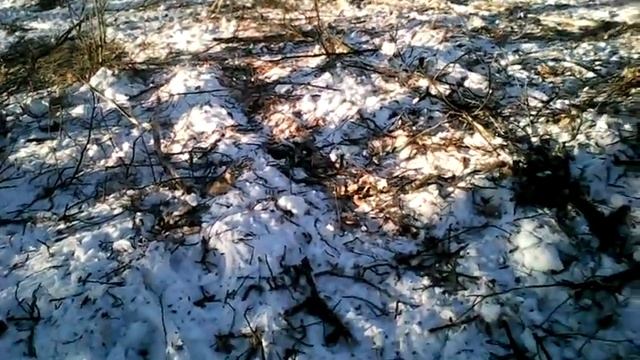 Уборка леса смотреть онлайн