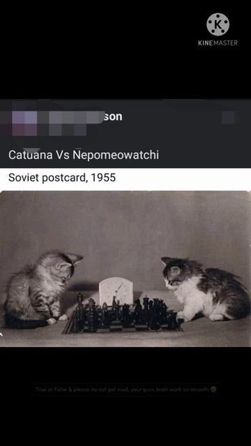 😂 Meme #Chess : Even #CarlsenSC SALUTE You!!! ✌Maybe #MemeChessSC #NepoSC VS #CaruanaSC #scPGN смотреть онлайн