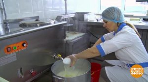 Тофу: сыр от "соевой коровы". Доброе утро. Фрагмент выпуска от 11.03.2025