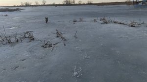 Лисичка-сестричка