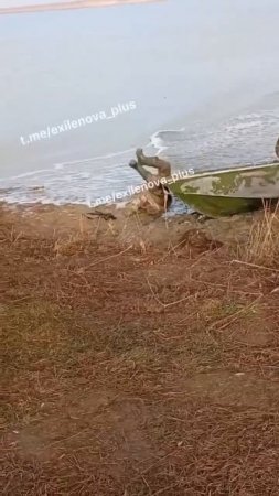 СВО (1)