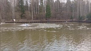 Обзор открытой воды на спорт-зоне. Клёвое место, Лосиный остров.