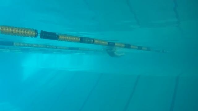 Плавание брассом Поворот смотреть онлайн