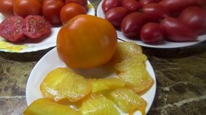 Какие томаты для открытого грунта я посеяла в первую очередь? Самые крупные! Томат Солнечный Утес.