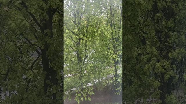 Snowing in Moscow May 08, 2024