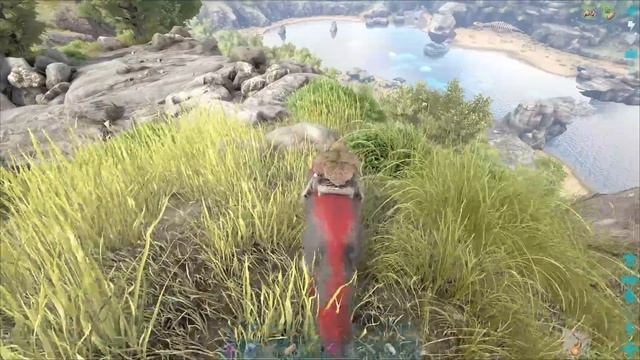 ARKVENTURAS EN ZAMOK #6 A POR UNAS OVIS AL PILAR ROJO смотреть онлайн