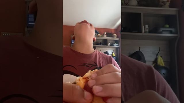 Nikocado avocado parody ￼ смотреть онлайн