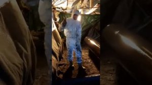 Установка Graco XP70 покрытие Биурс ОС. задавайте вопросы скоро обучающие видео .