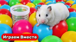 Умный Хомяк попал в  игру ПОДЗЕМЕЛЬЯ И ДРАКОНЫ ! Выбираемся вместе ! Видео для детей 🟢