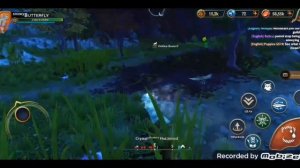 Первая Фантастика и сундук чемпиона в Wolf Tales