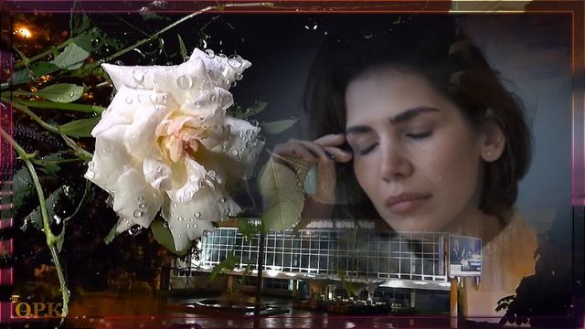 КАПЛИ ДОЖДЯ