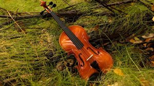 Современная классическая музыка на скрипке | Ecveezer - Rest