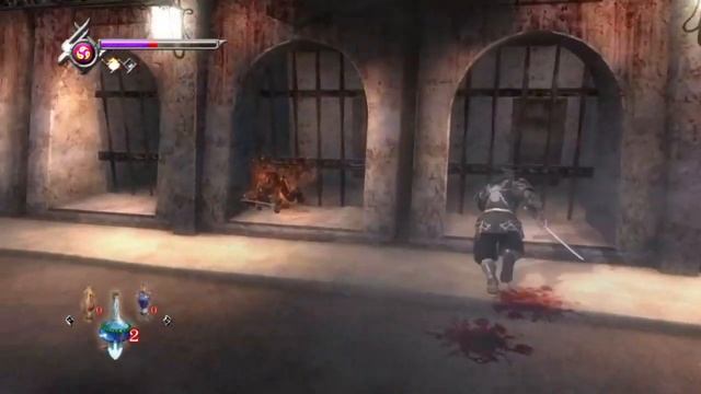 Краткий обзор Ninja Gaiden Master Collection
