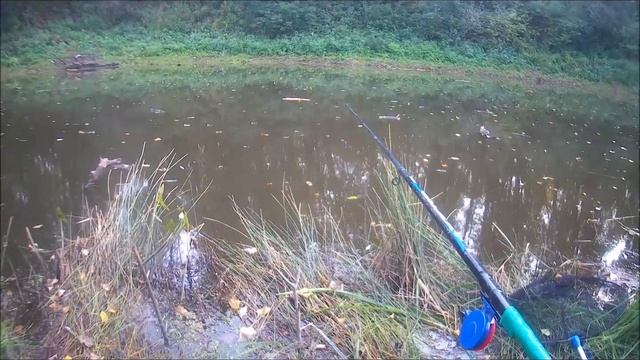Рыбалка на озере «Золотистое». 18 09 2020. смотреть онлайн