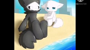 Changed puro and lin