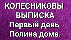 Колесниковы/Обзор.