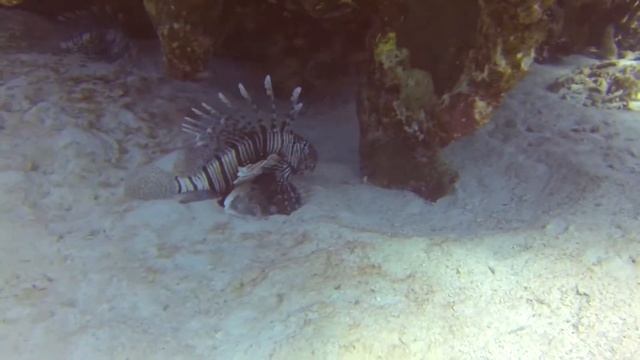 день 1 смотреть онлайн