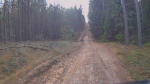 Мотопокатушка по Неманскому лесу: забираемся в горку.