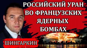 Европа готовится к войне. Сценарий обмена ядерными ударами. Преступления Росатома/ Максим Шингаркин