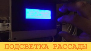 2025 Март. Способ подсветки рассады.