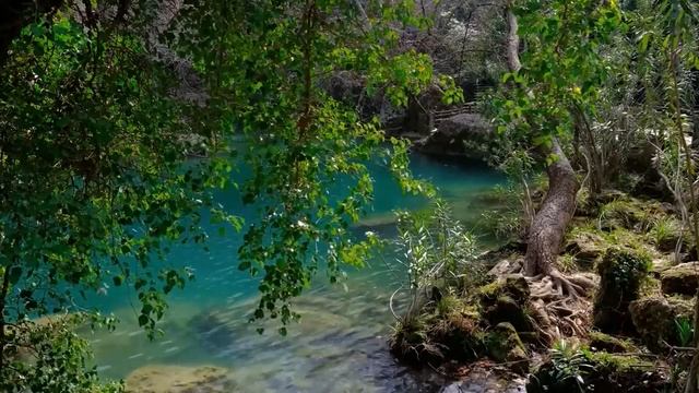 Муж отправил на переговоры жену с сыном вместо себя и привел любовницу А поняв речь иностранцев