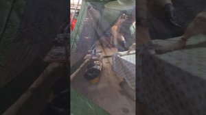 Первые 6 хвостиков приюта готовы