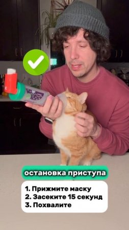 Приступ астмы у кошек