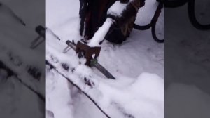 Обзор снежного отвала на кун