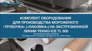 Комплект дополнительного оборудования для производства мороженого "ЛАКОМКА" на экструзионной линии