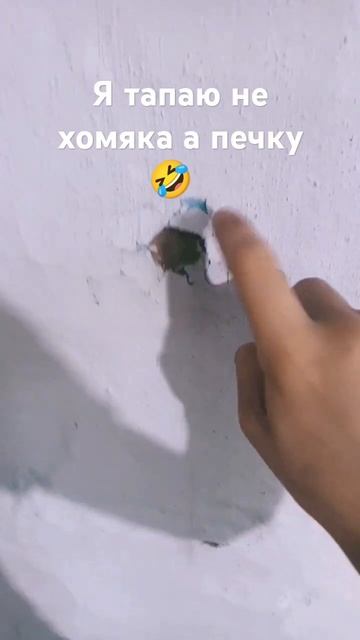 #хомяк #тонкин смотреть онлайн