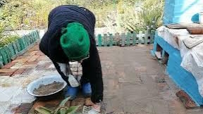 18.09.2024 Работа продвигается/утепление стены/ прогулка/сентябрь 2024