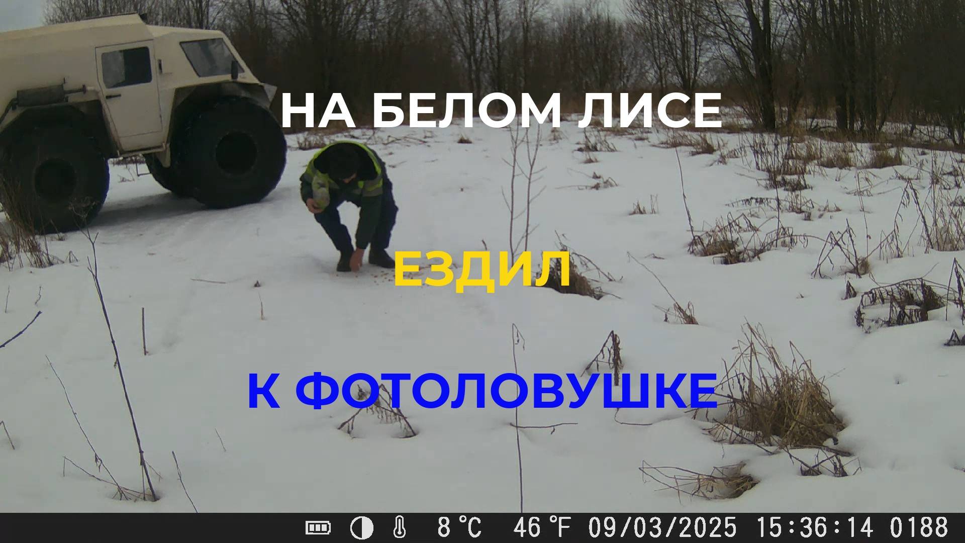 Поехали Кататься на Вездеходе Фотоловушку попутно проверим