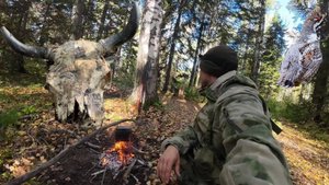 ДОБЫЛ РЯБЧИКОВ ｜ НАТКНУЛСЯ НА ПРИВАДУ НА МЕДВЕДЯ ｜ ХОДО