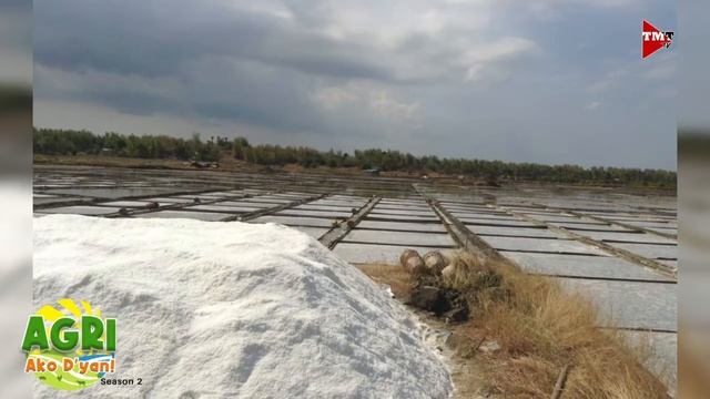 “PAGGAWA NG ASIN” Ep.41 AGRI Ako D’yan смотреть онлайн