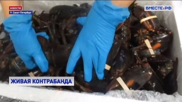 Телеканал «Вместе - РФ», программа « Новости», 10.03.2025
