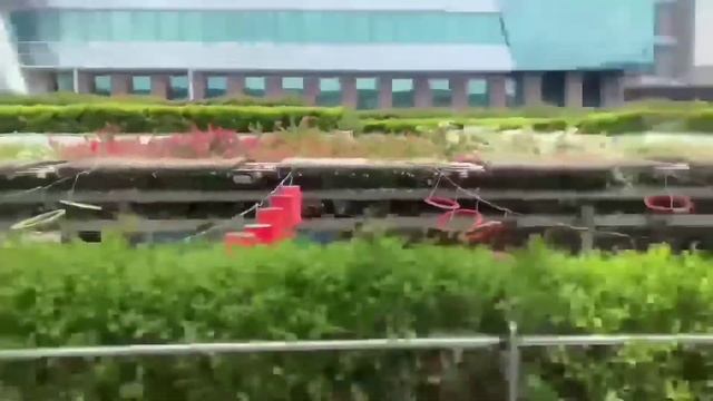 DLF Cyber City Vlog | Cyber City Gurgaon | Cyber Hub Gurgaon Mini Japan| India Most Happening Place смотреть онлайн