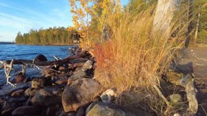 Островные пейзажи северной Карелии. Дикая природа. Релакс и медитация.