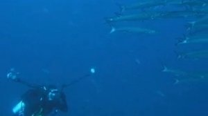 Galapagos diving JLL - Part 1