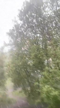SAVELEV в прямом эфире!