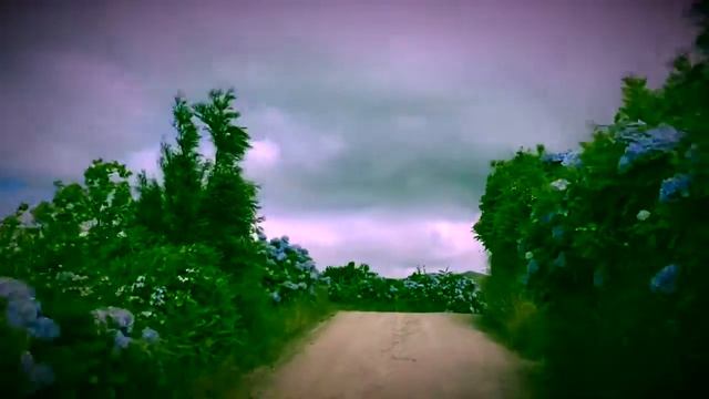 В стране чудес. смотреть онлайн