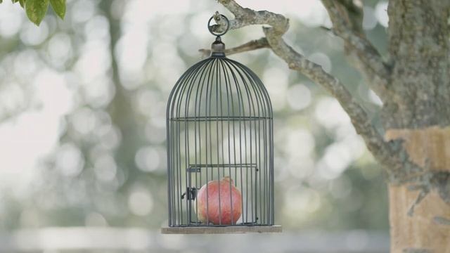 No Man's Honour - Teaser смотреть онлайн