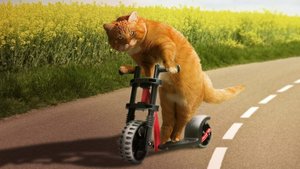 Правильно настроить задний тормоз на Kugoo M4 PRO