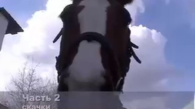 Для Юли смотреть онлайн