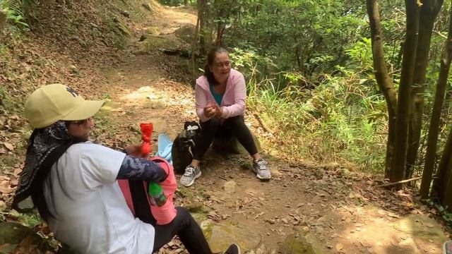 Tai Mo Shan via Ng Tung Chai Waterfalls to Lam Kam Road/ Hongkong смотреть онлайн