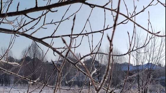 Корни слова Честность