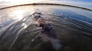 ВЫЖИВАЮ 36 Часов с луком и стрелой