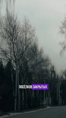 Рублевка как: винегрет