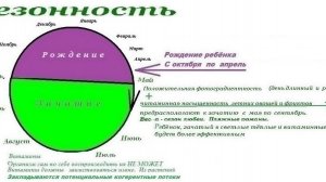 5-19   Сезонность  Когда детей заводить  Рекомендация психолога-биолога