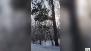 Весеннее безумие!⛷️ Весенний снег!❄️8 марта💐
