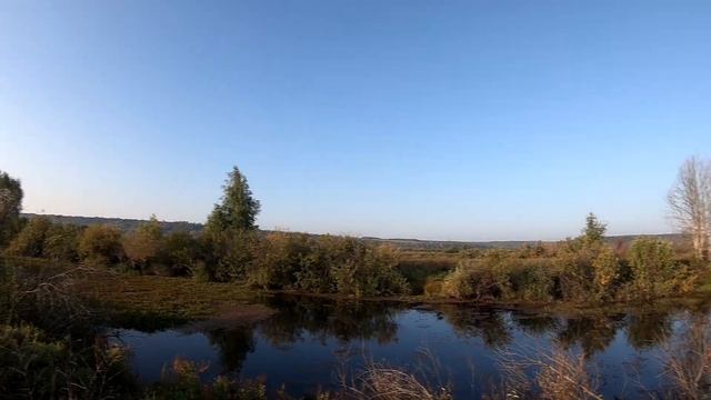Осенняя охота 07.09.2019. Ещё две утки в копилку этого сезона. смотреть онлайн